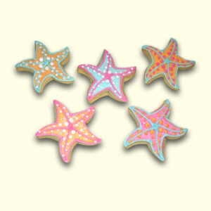 Newport Starfish Sampler Shape Decorated Sugar Cookie Collection