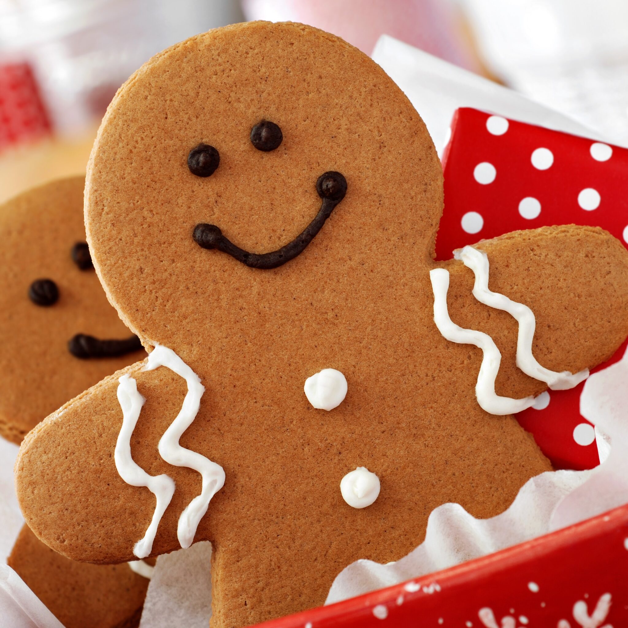 Gingerbread, Cookies & Corporate Gifts | Wonderland Bakery